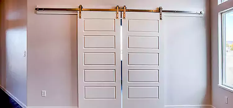 Glass Barn Door with Installation Hardware Kit Folsom