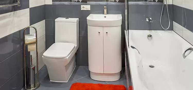 Hansgrohe Shaving Mirror Folsom